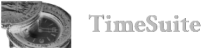Timesuite_Logo_01-removebg-preview-(3) 1